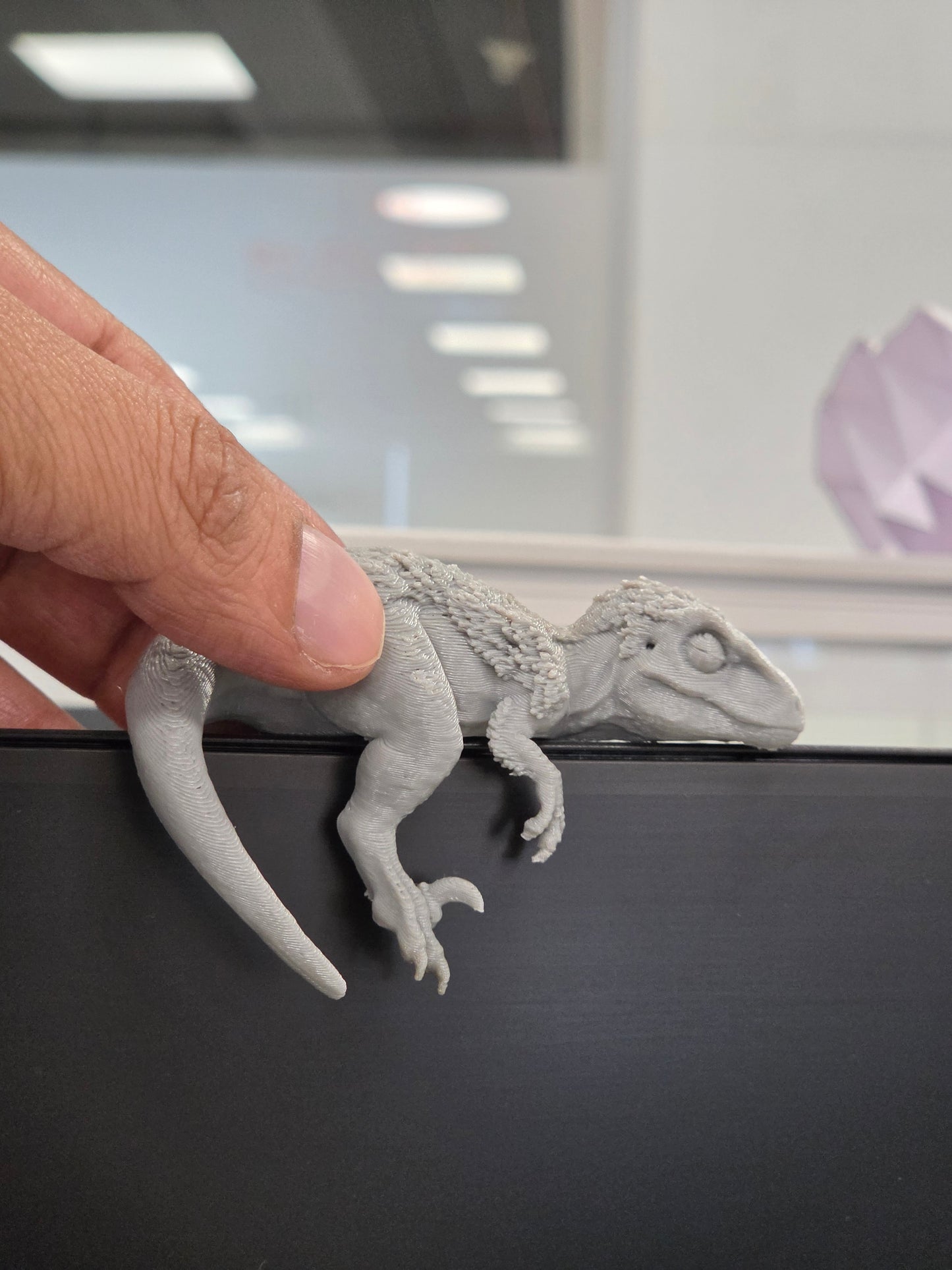 Monitor Dinosour Buddy