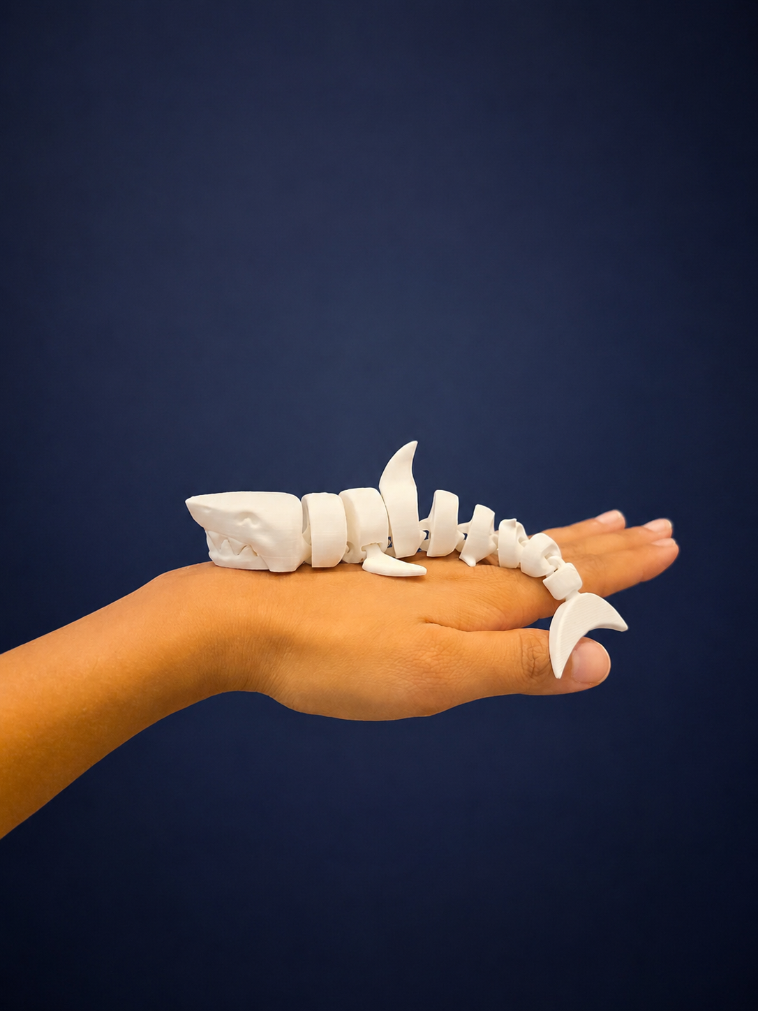 Wiggly Shark Toy